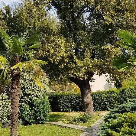 With A Parking Space *