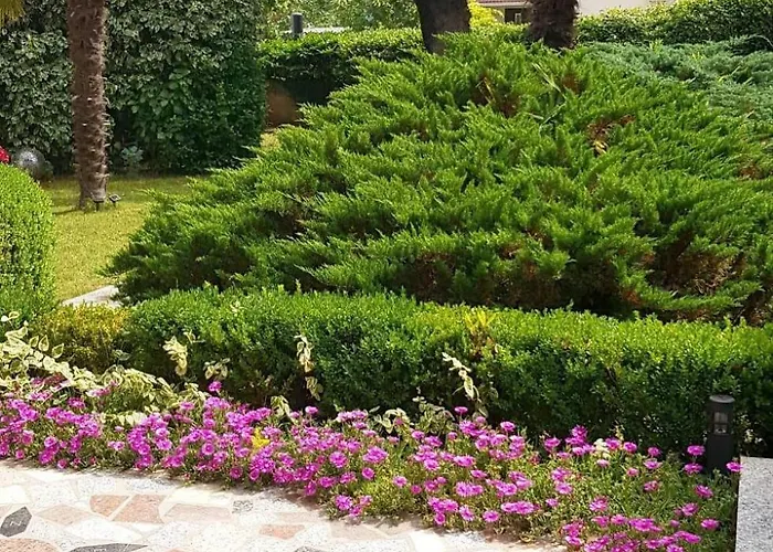 With A Parking Space 公寓