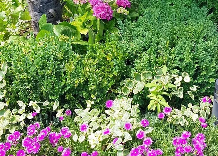 Apartamento With A Parking Space *