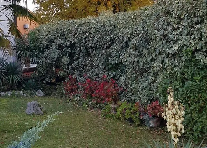 With A Parking Space 公寓