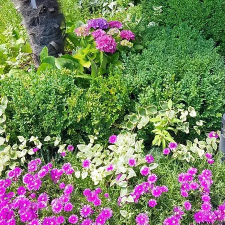 Appartamento With A Parking Space *