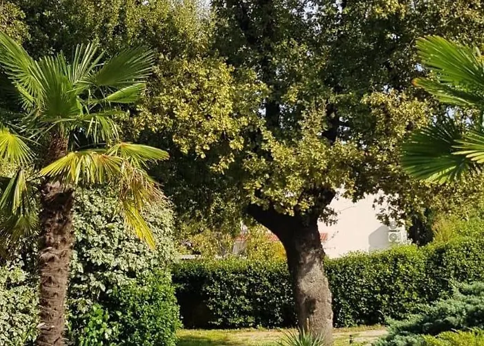 With A Parking Space *